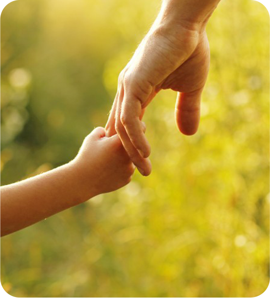 Child Custody & Support Prosecution/Opposition